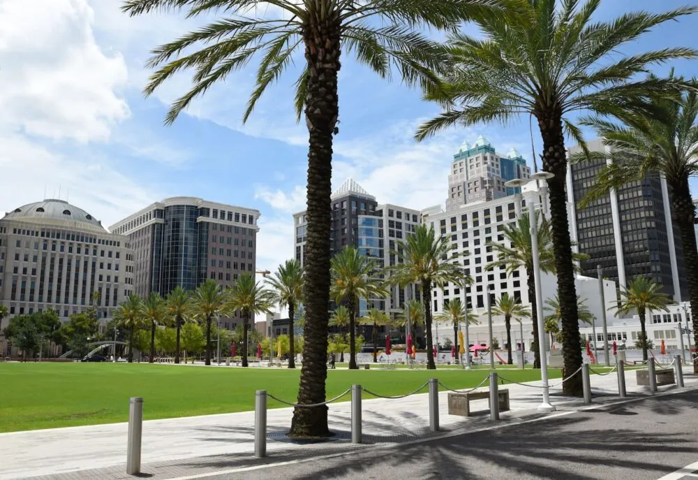 Downtown Orlando palm trees